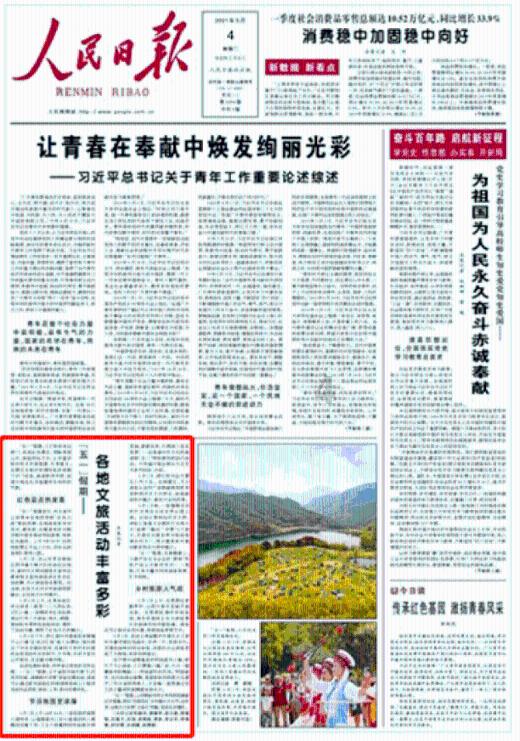 逃离蜥蜴森林