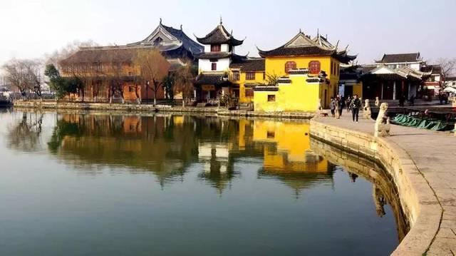 动物帮帮忙保卫家园